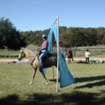 Horse walking through tarp obstacle