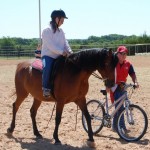 Bike is introduced to horse