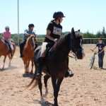 Riders and horses encounter bike rider