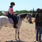 Gray horse sniffs hiker