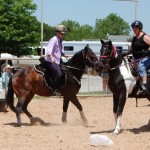 Horses introduced to moving plastic bags