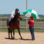 umbrella-horse