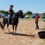 Horse introduced to water trough on the trail