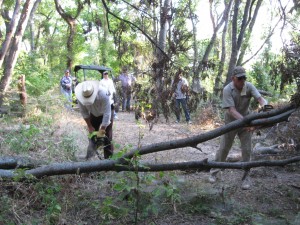 Volunteers clear trail of downed tree limbs - August 2009