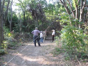 TTPA Volunteers walk in the woods