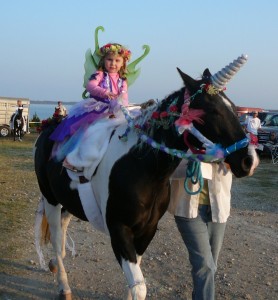 Unicorn and Fairy Princess Costume